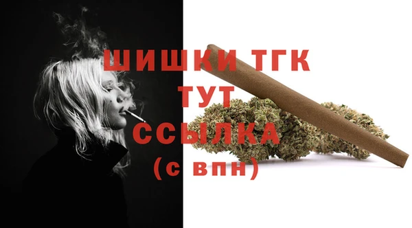 ECSTASY Баксан