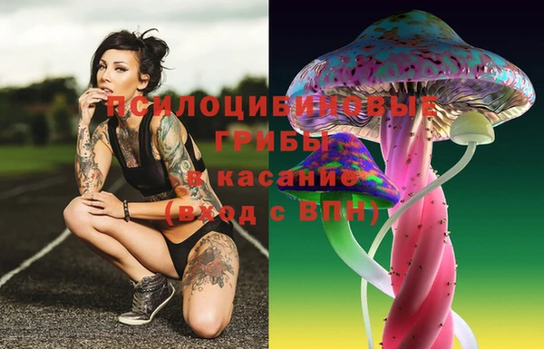 ECSTASY Баксан