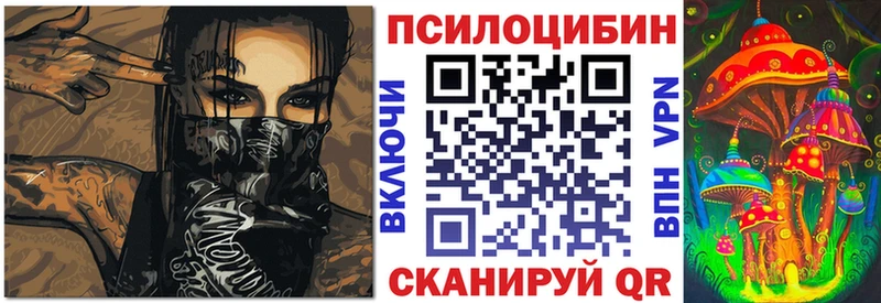 где купить наркоту  Белозерск  Псилоцибиновые грибы мицелий 